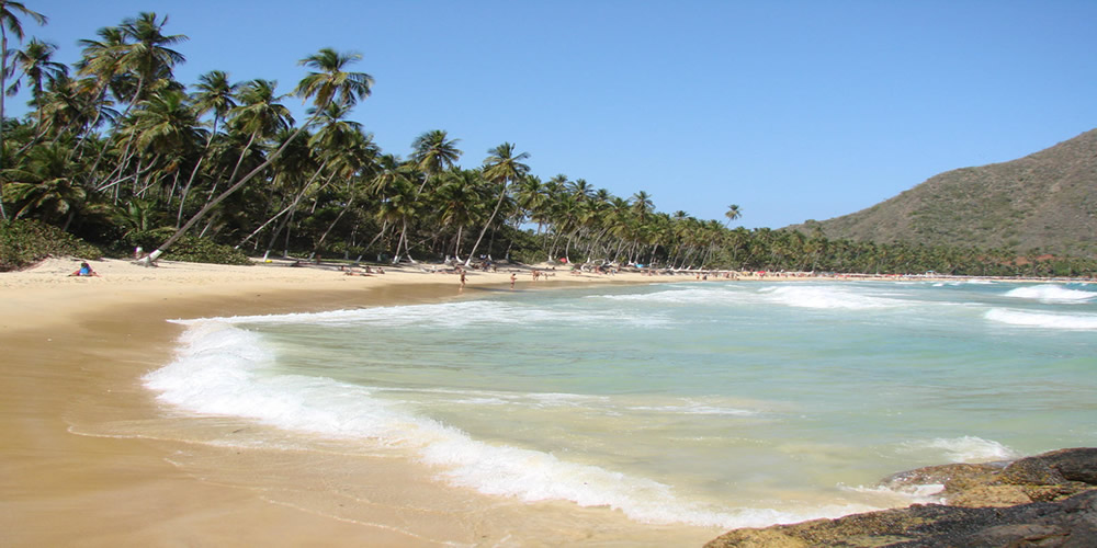 Playa Grande Choroní-Estado Aragua-Venezuela.